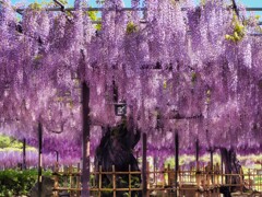 行燈③