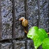 雨よく降るね