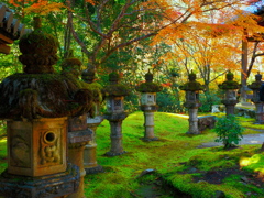 西明寺 苔むす石灯篭