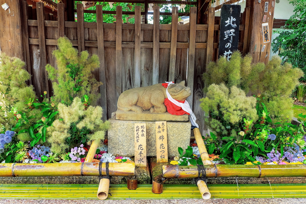 北野天満宮花手水舎