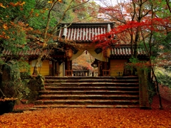 晩秋の永源寺　総門