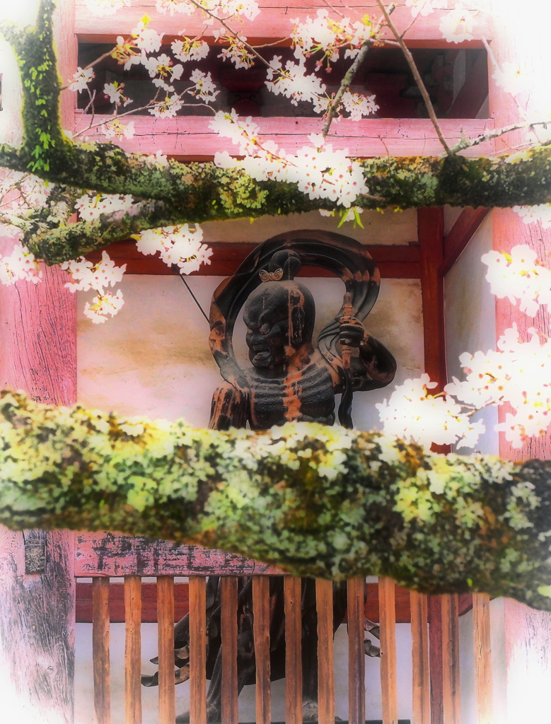 醍醐寺 西大門 仁王様
