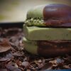 ビスタチオチョコレート・ハンバーグマカロン？