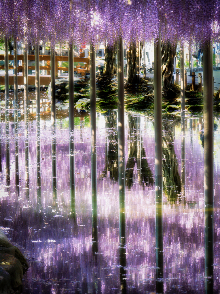 水鏡②