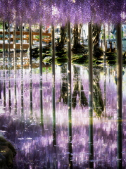 水鏡②