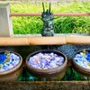 花まいり　天の川　7月朔日参り　七夕①
