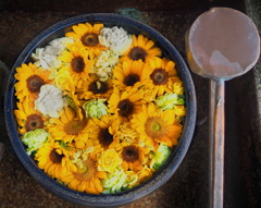 夏色　花手水舎