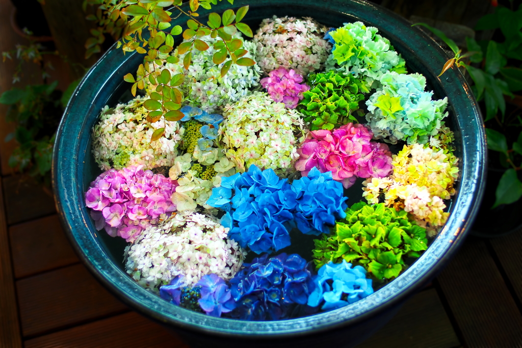 花水鉢