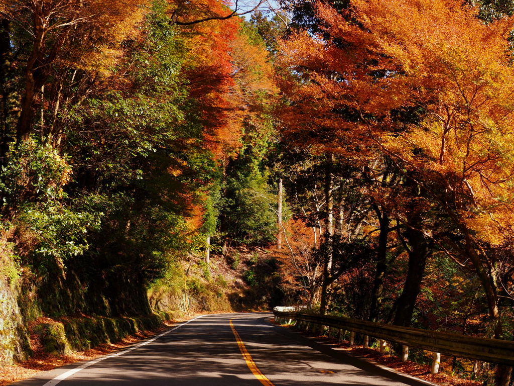 周山街道