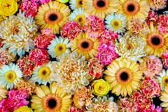 花手水舎 11月