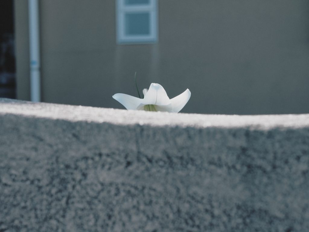 視線