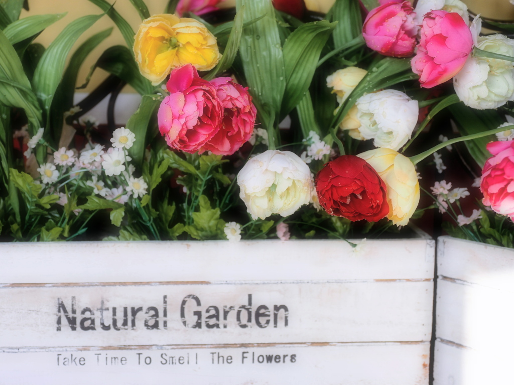 Natural Garden