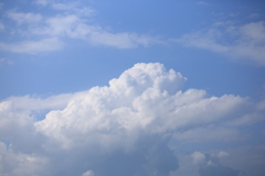 梅雨の晴れ間