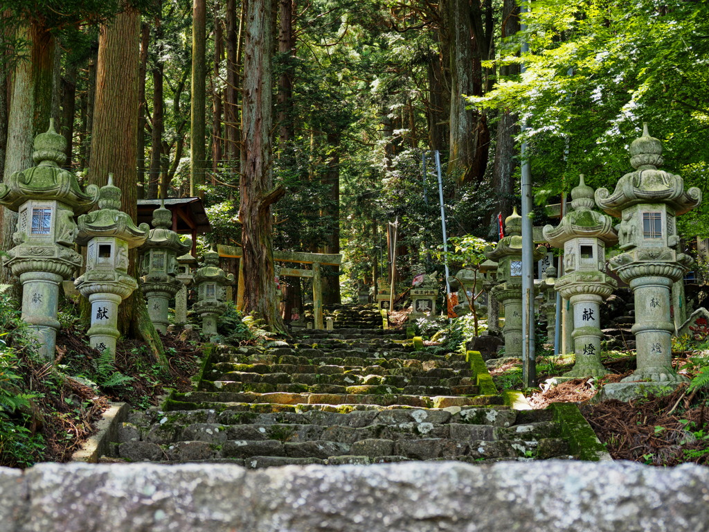 福王神社 参道２