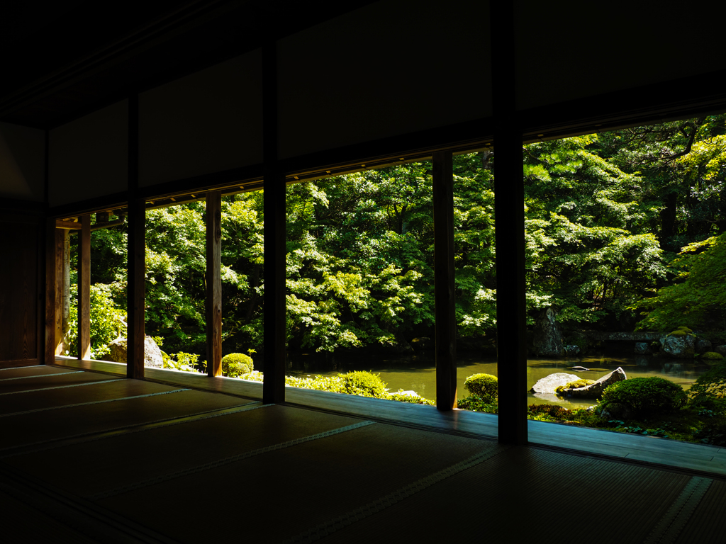 洛北  夏の蓮華寺 庭園