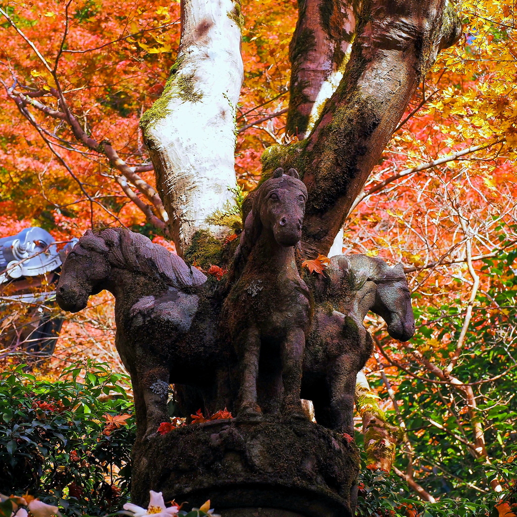 京都西明寺の阿育王石柱