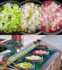 浮き雛の彩　（うきびなのいろどり）