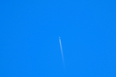 飛行機