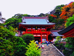 鶴岡八幡宮