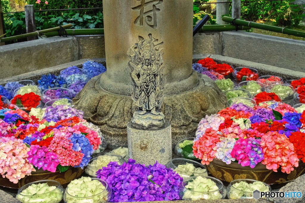 三室戸寺　花手水舎