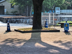 公園