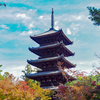 仁和寺 五重塔