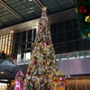 JRゲートタワー1Fの巨大クリスマスツリー