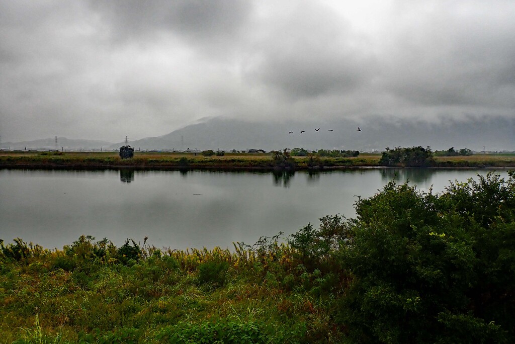 雨の川岸