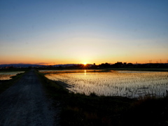 夕暮の田