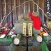 北野天満宮　花手水舎