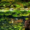 水面鏡