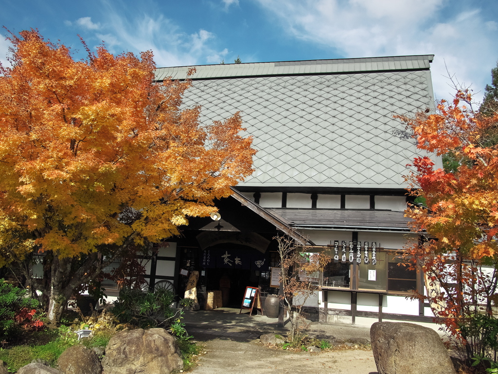 紅葉の綺麗なお店