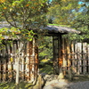 茶室入口 建仁寺垣と金木犀