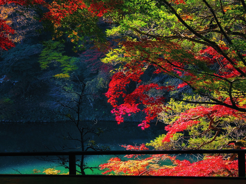 嵐山 　祐斎亭　桂川