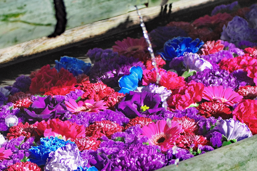 12月15日　花まいり