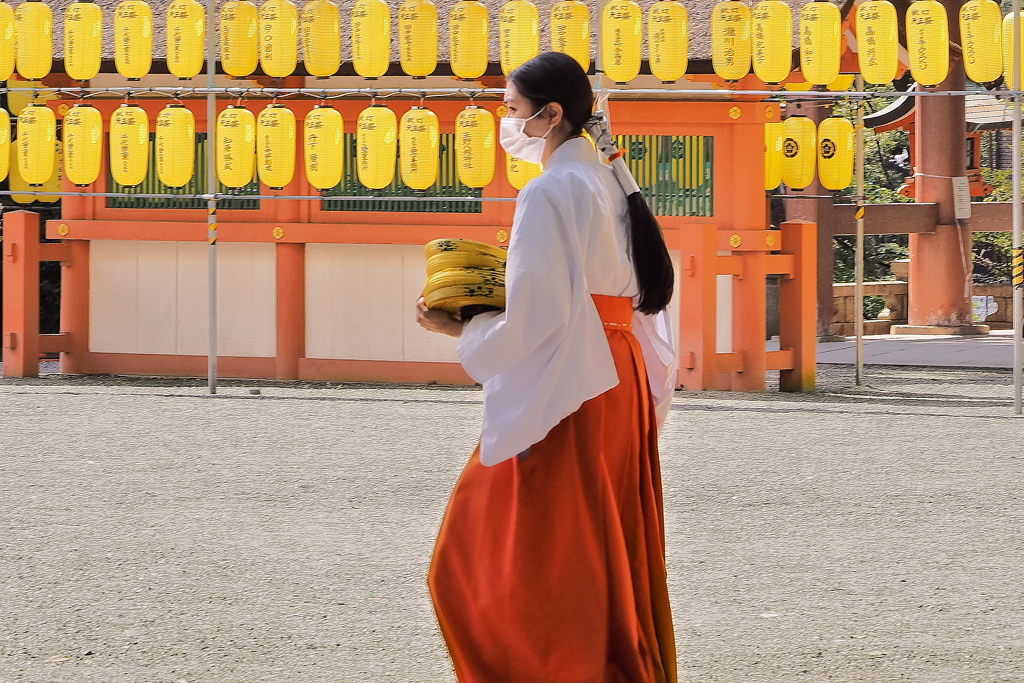 巫女さんは忙しい