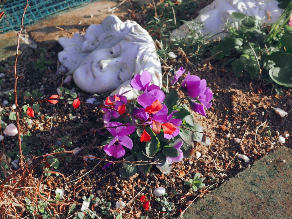 街角の花壇