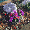 街角の花壇