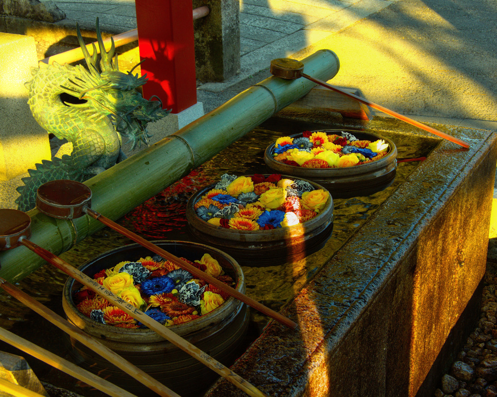 黄昏に浮かぶ彩