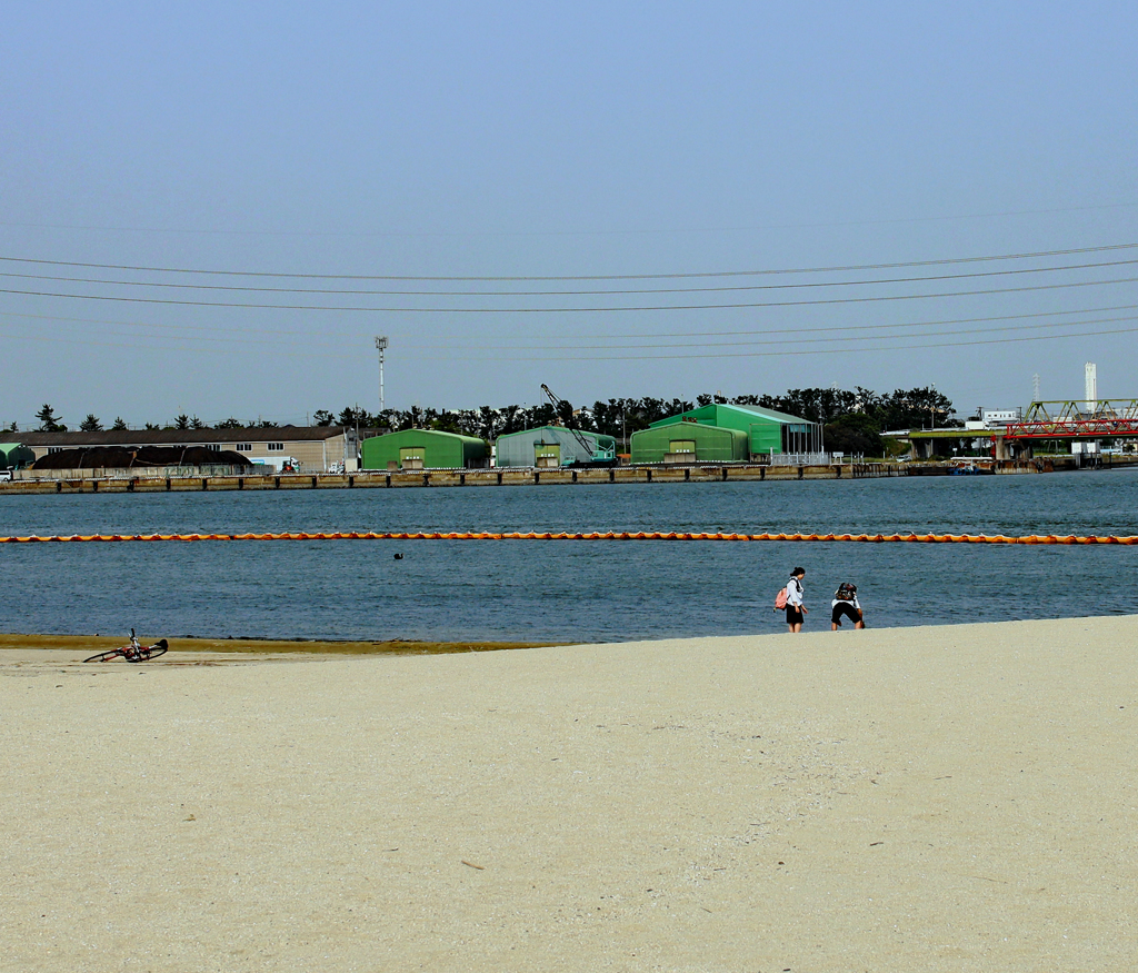 海岸にて