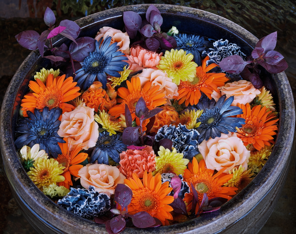 花まいり　10月15日