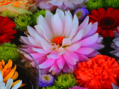 花手水