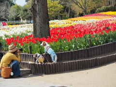 Woman taking a dog with tulips