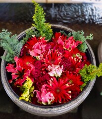 花手水舎　花まいり 12月15日