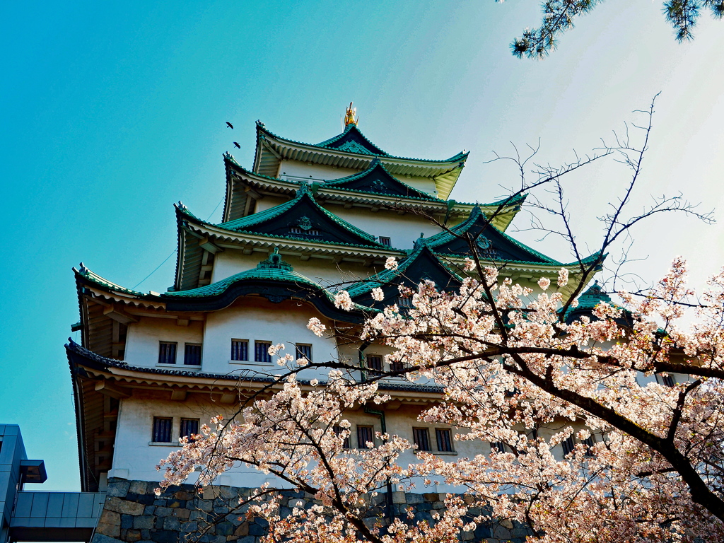 名古屋城