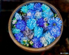 花まいり　5月朔日参り