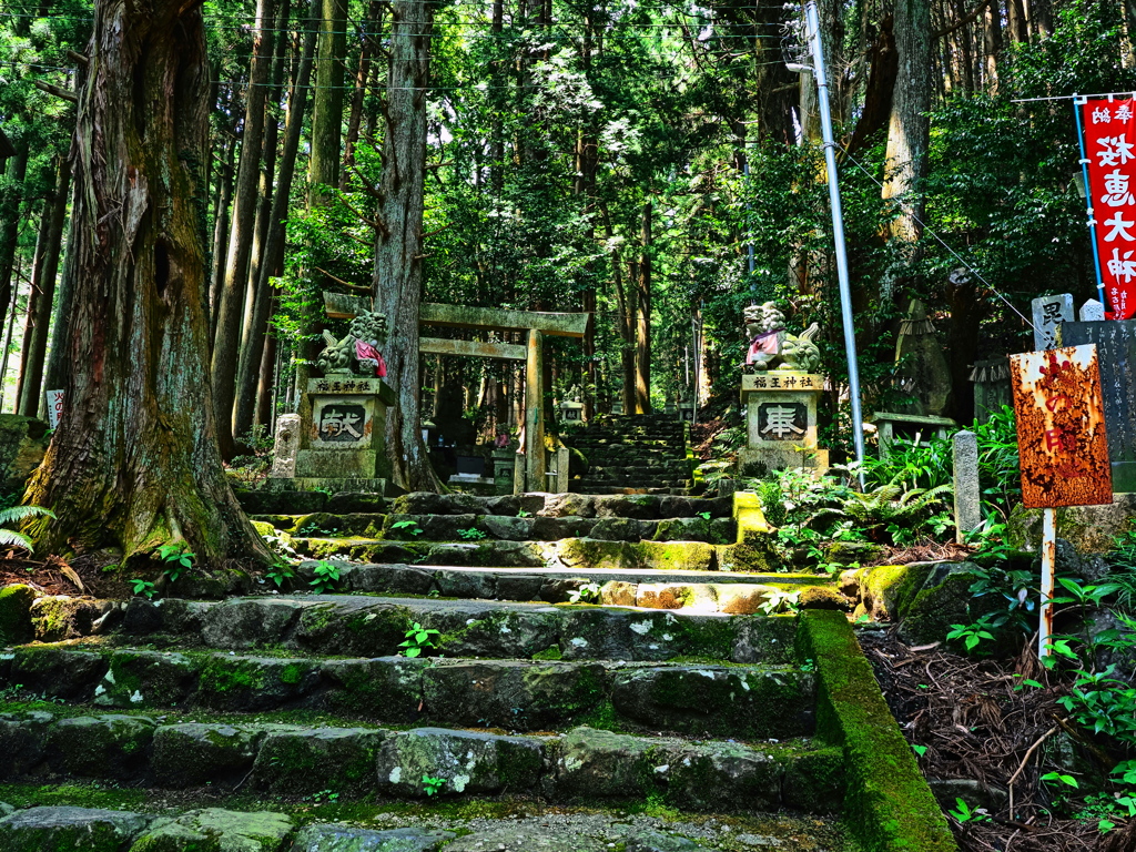 やっと狛犬が見えた 福王神社 参道3