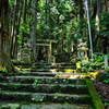 やっと狛犬が見えた 福王神社 参道3