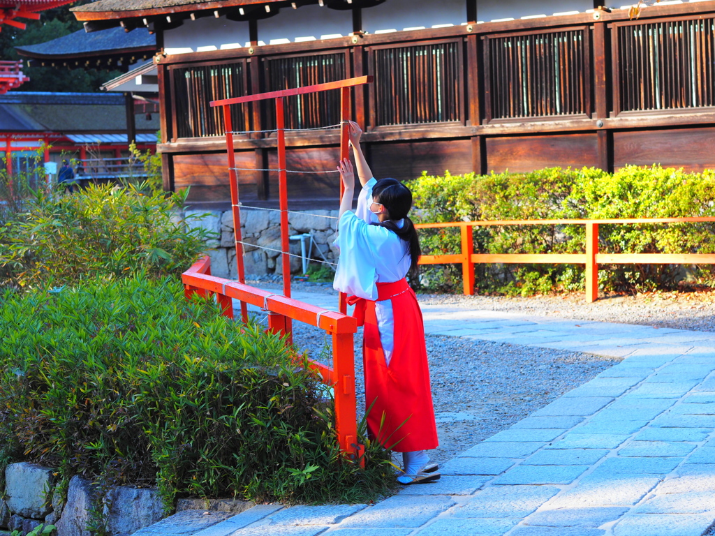 巫女さん ３