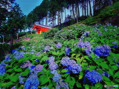 三室戸寺　